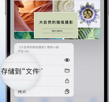 常德apple维修中心分享iPhone文件应用中存储和找到下载文件