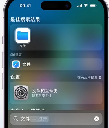 常德apple维修中心分享iPhone文件应用中存储和找到下载文件