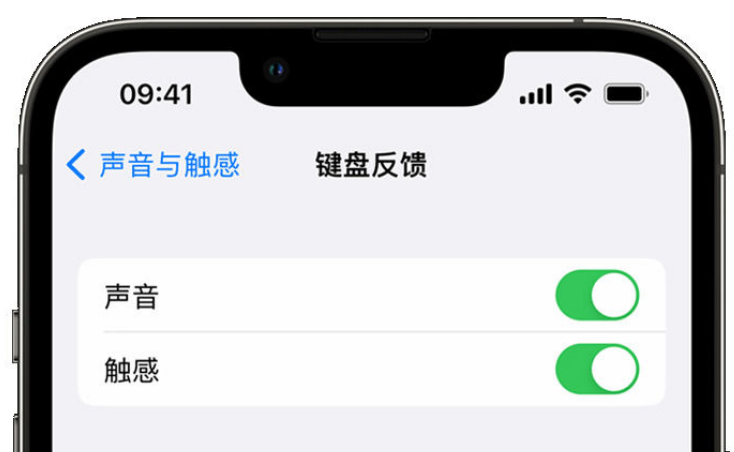 常德苹果手机维修分享iPhone 14触感键盘使用方法 