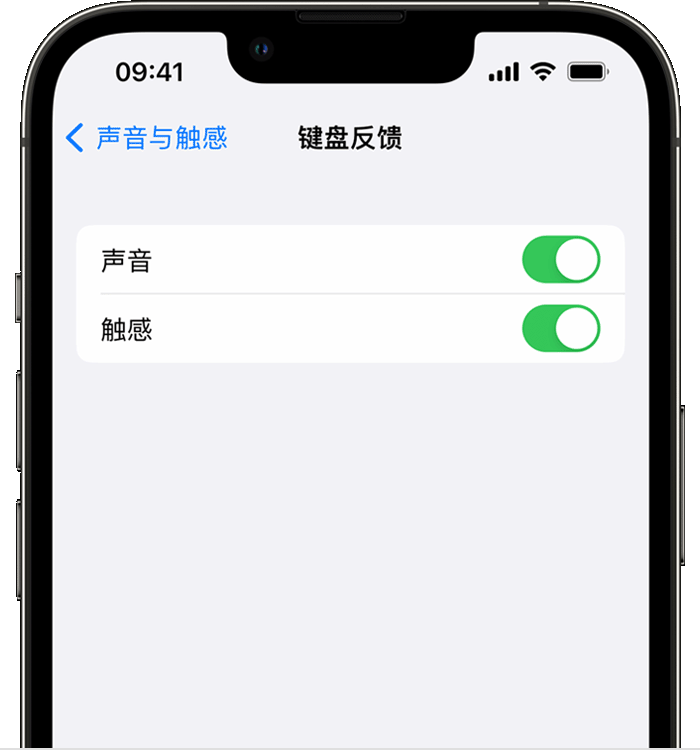 常德苹果14维修店分享如何在 iPhone 14 机型中使用触感键盘 