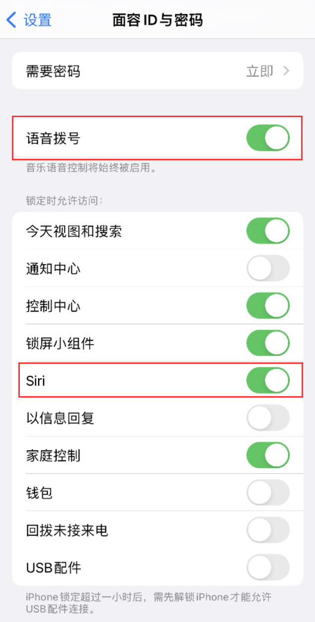 常德苹果维修网点分享不解锁 iPhone 的情况下通过 Siri 拨打电话的方法 