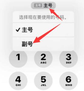 常德苹果14维修店分享iPhone 14 Pro Max使用副卡打电话的方法 