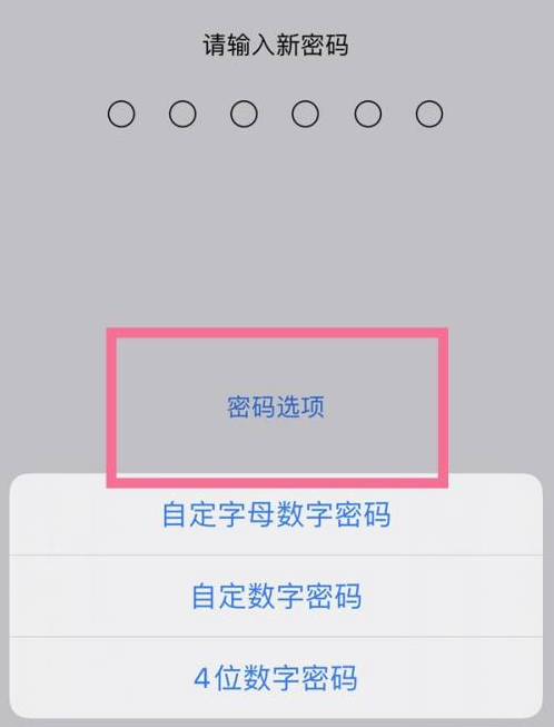 常德苹果14维修分享iPhone 14plus设置密码的方法 