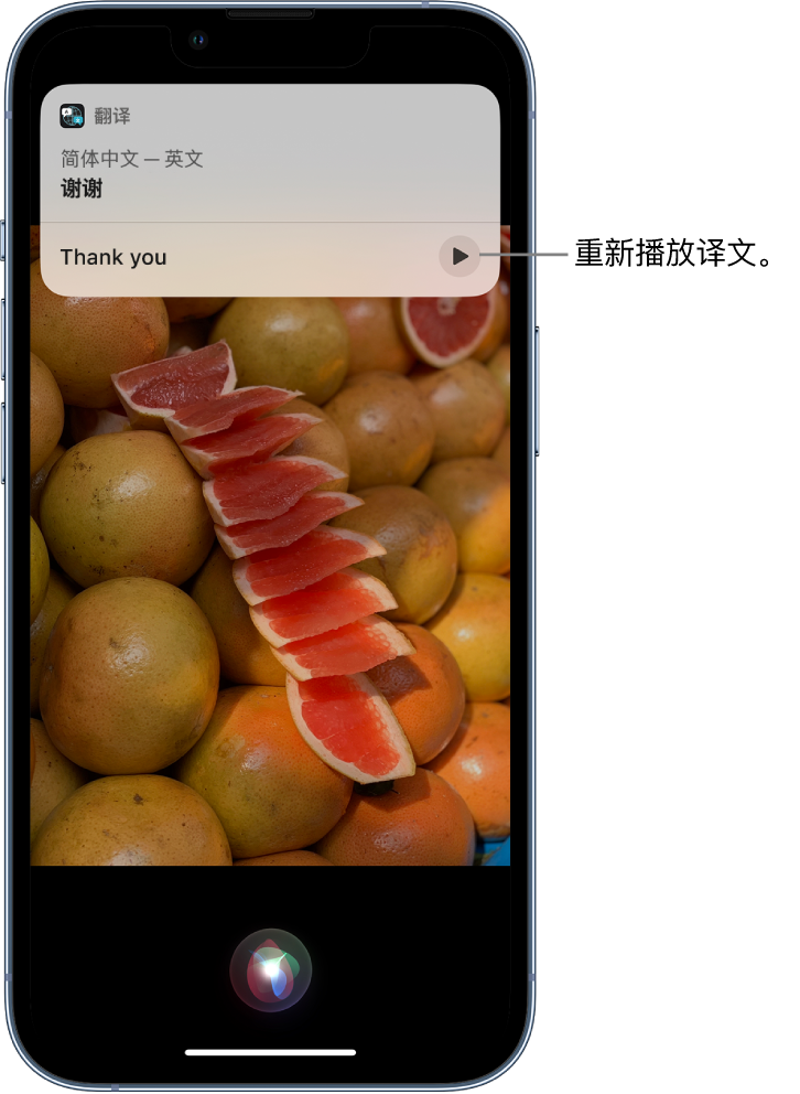 常德苹果14维修分享 iPhone 14 机型中使用 Siri：了解 Siri 能帮你做什么 