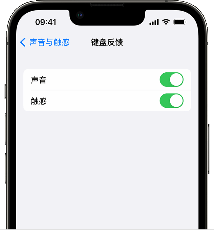 常德苹果14维修分享iPhone 14 系列机型如何开启键盘声音或触感反馈 