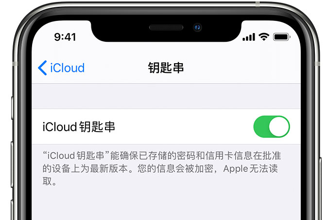 常德苹果手机维修分享在 iPhone 上开启 iCloud 钥匙串之后会储存哪些信息 