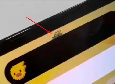 常德苹果14维修分享iPhone 14 Pro Max灵动岛怎么养宠物 