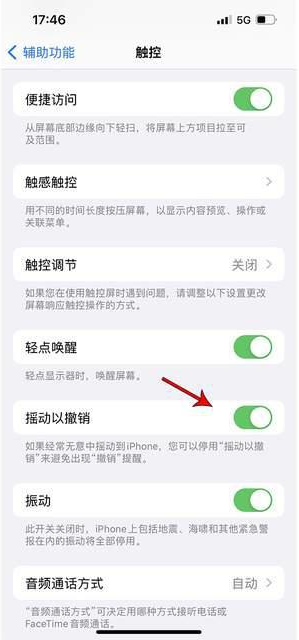 常德苹果手机维修分享iPhone手机如何设置摇一摇删除文字 