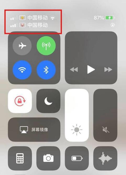 常德苹果手机维修分享为 iPhone 12 双卡设置标签 
